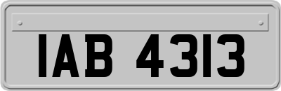 IAB4313
