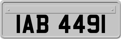 IAB4491