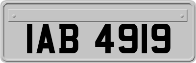 IAB4919