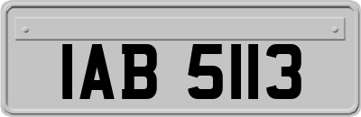 IAB5113