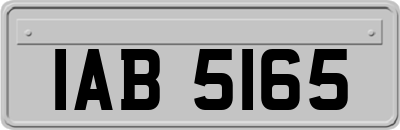 IAB5165
