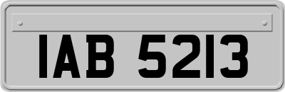 IAB5213