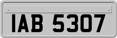 IAB5307