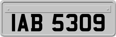 IAB5309