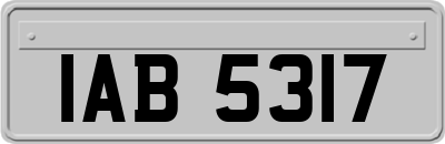 IAB5317