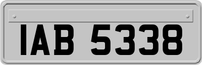 IAB5338