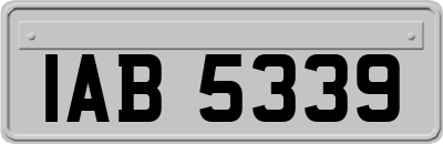 IAB5339