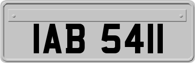 IAB5411