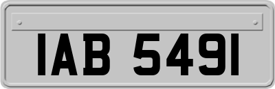 IAB5491