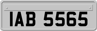 IAB5565