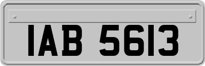 IAB5613