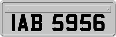 IAB5956