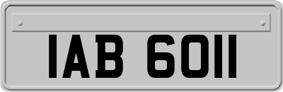 IAB6011