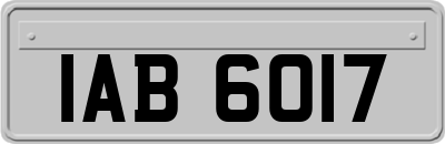 IAB6017