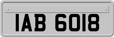 IAB6018