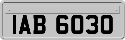 IAB6030