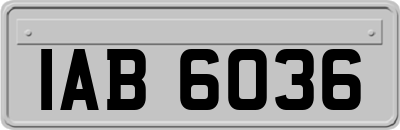 IAB6036