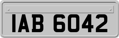 IAB6042