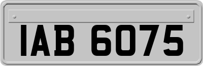 IAB6075