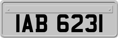 IAB6231