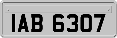 IAB6307