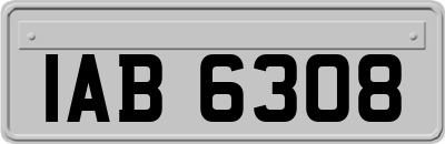 IAB6308