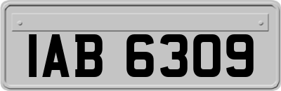 IAB6309