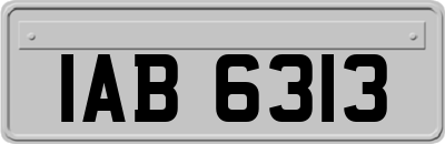 IAB6313