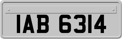 IAB6314