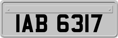 IAB6317