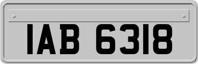 IAB6318