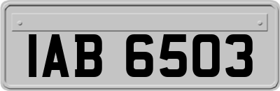 IAB6503