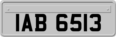 IAB6513