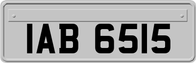 IAB6515