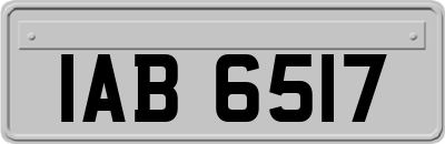 IAB6517