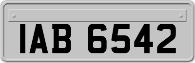 IAB6542