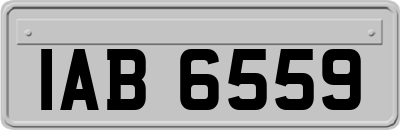 IAB6559
