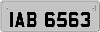IAB6563