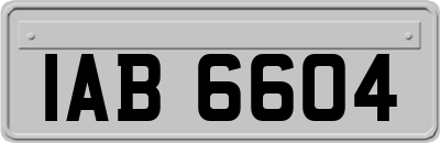 IAB6604