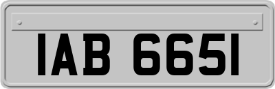 IAB6651