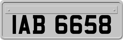 IAB6658