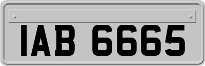 IAB6665