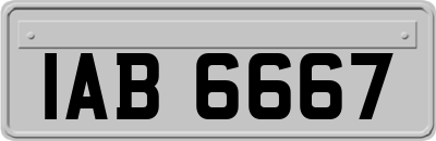 IAB6667