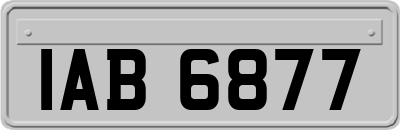 IAB6877