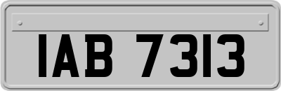 IAB7313