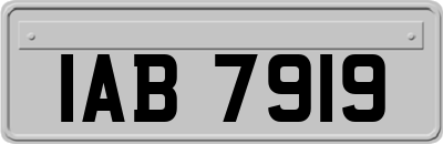 IAB7919