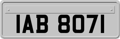 IAB8071