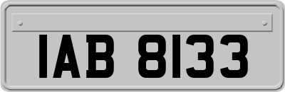IAB8133