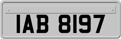 IAB8197