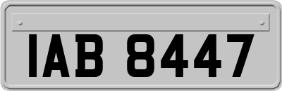 IAB8447